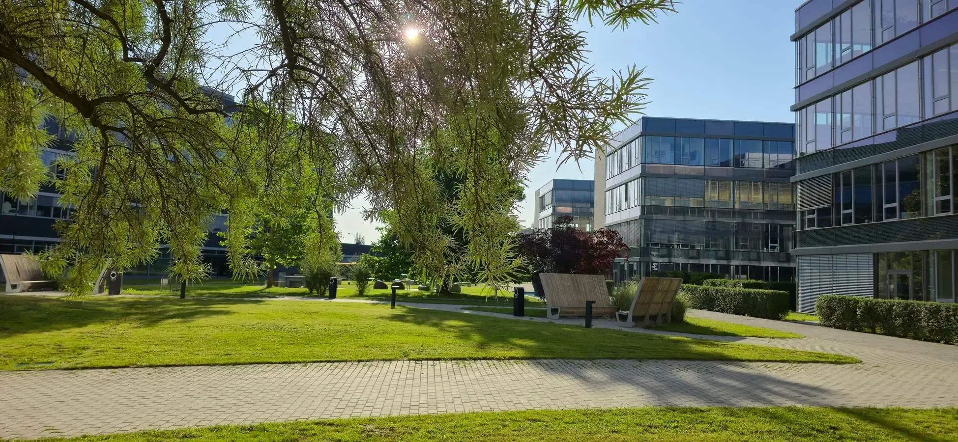 Tile AFI Avenir Park