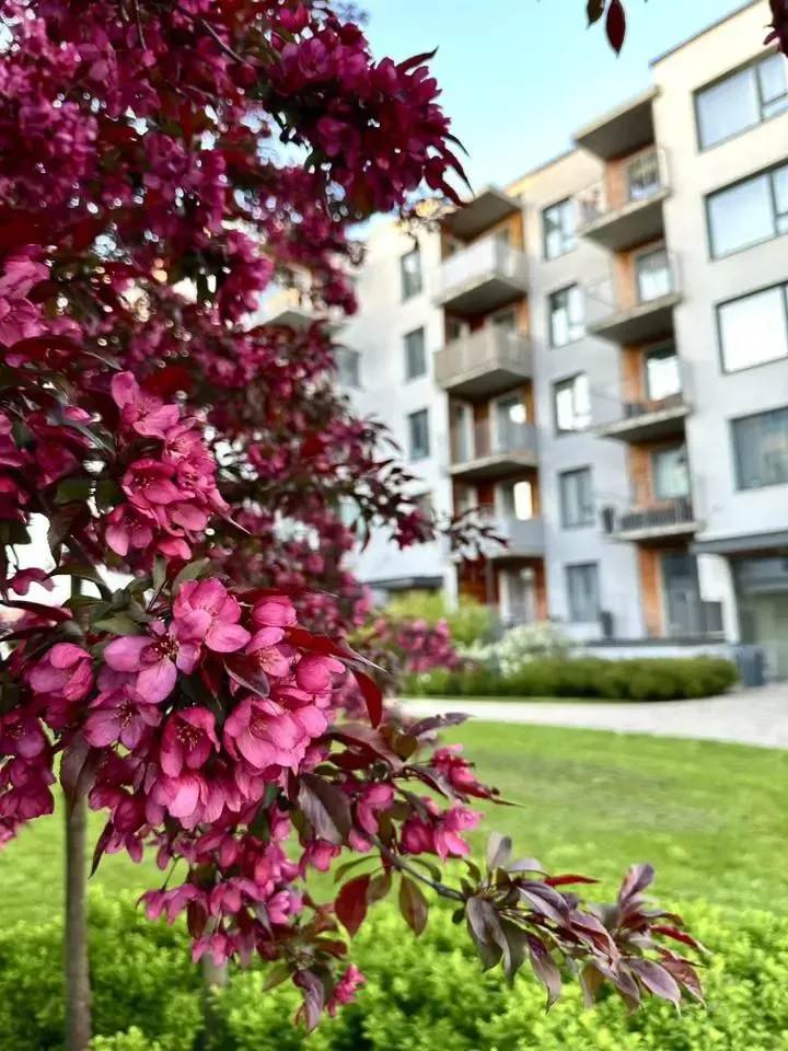 Tile AFI Trebū HOME
