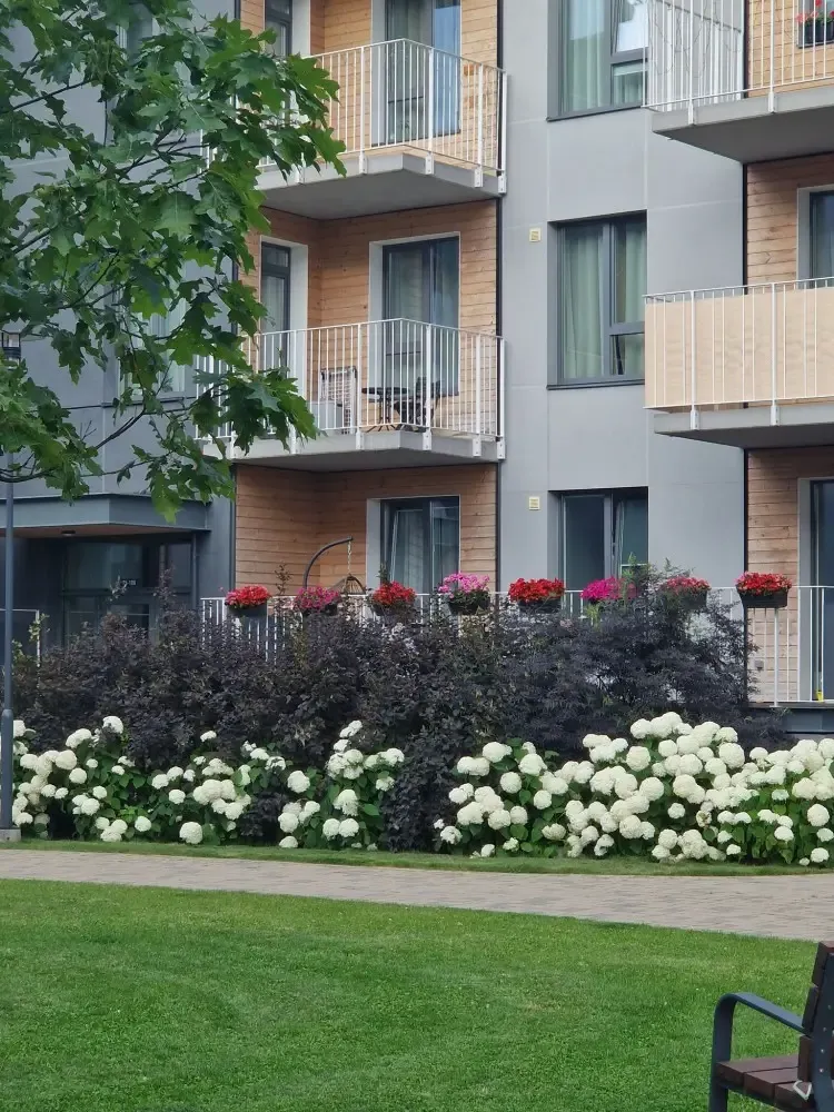 Tile AFI Trebū HOME