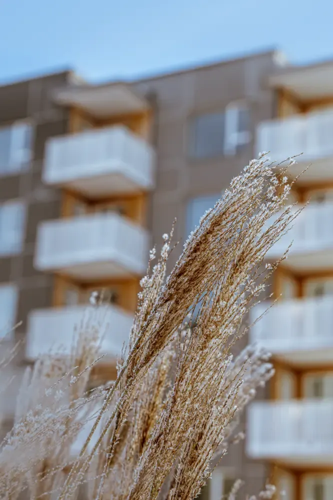 Tile AFI Trebū HOME