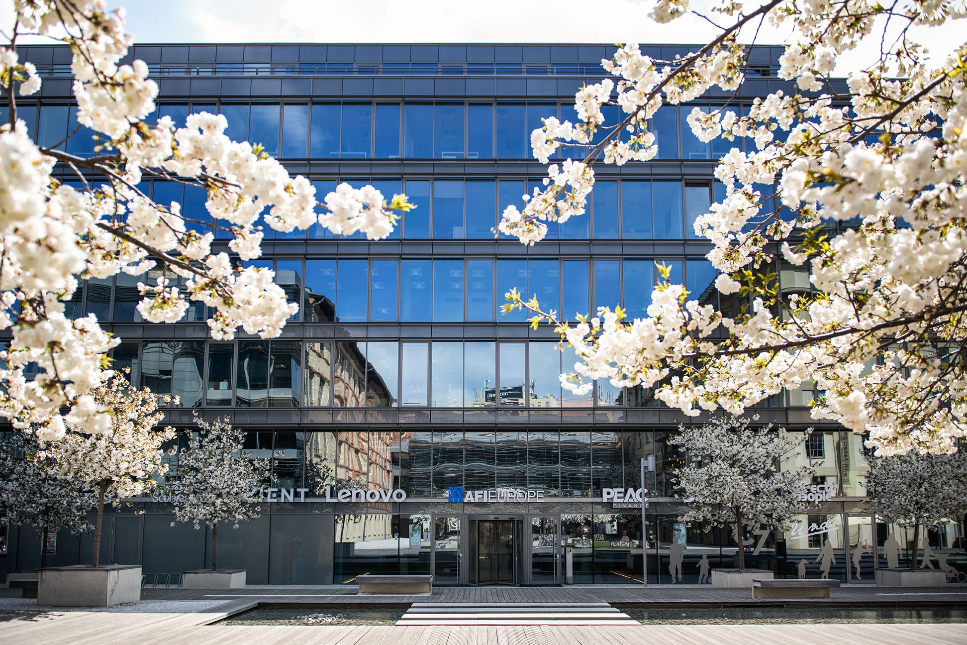 Tile Classic 7 Business Park